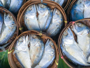 High angle view of fish for sale at market