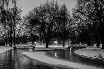 Bare trees on snow covered landscape