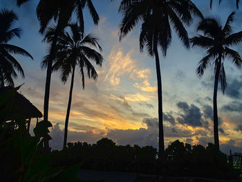 Low angle view of silhouette coconut palm trees against sky during sunset