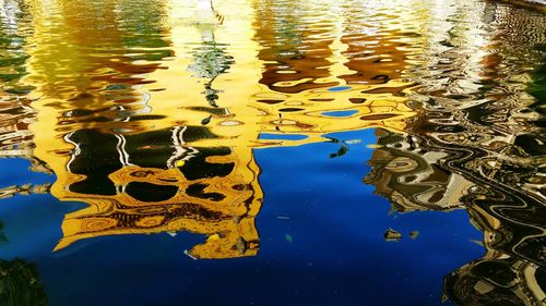 Reflection of trees in water