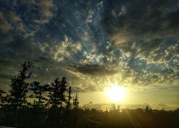 Silhouette trees against sky during sunset