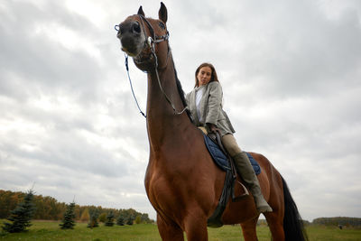 Low angle view of horse on field against sky