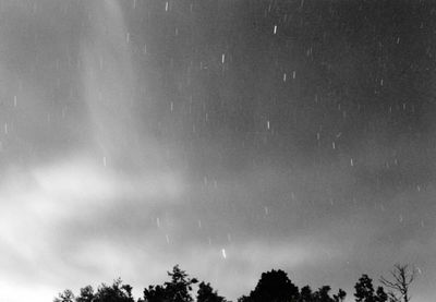 Low angle view of trees against sky