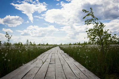 Dirt road along trees on landscape against sky