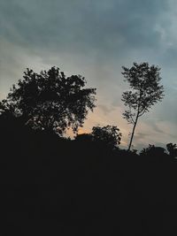 Low angle view of silhouette trees against sky during sunset