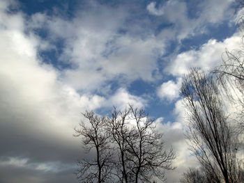 Low angle view of bare tree against sky