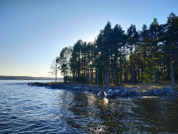 View of ducks swimming in water against clear sky
