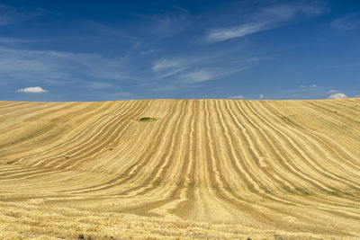 Scenic view of desert against sky