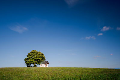 Scenic view of agricultural field against sky