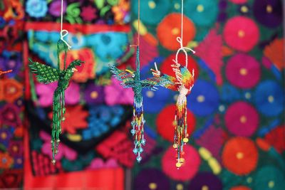 Close-up of red flowering plant