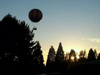 Low angle view of trees against sky at sunset