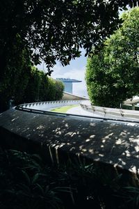 Plants and trees by building in city against sky