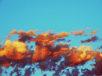 Close-up of tree against blue sky