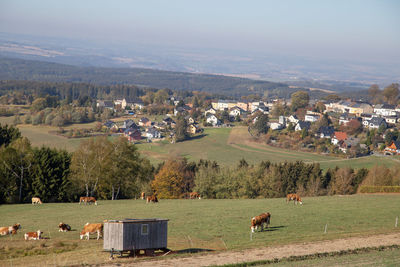 Scenic view of agricultural field against sky