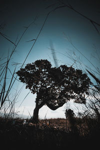 Low angle view of silhouette trees on field against sky at sunset