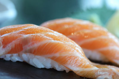 Close-up of fish in plate