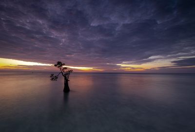 Man standing on beach against sky during sunset