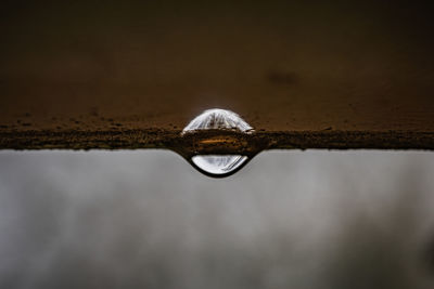 Close-up of water drops on metal