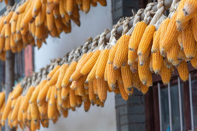 Low angle view of yellow lanterns hanging in farm