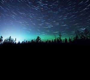 Silhouette trees on field against sky at night