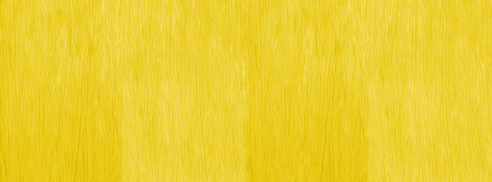 Full frame shot of yellow wall