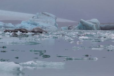 Scenic view of ice floating on sea