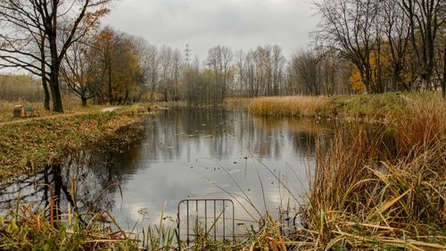 Scenic view of lake in forest against sky