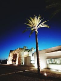 Low angle view of palm tree against sky