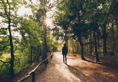 People walking on footpath in forest