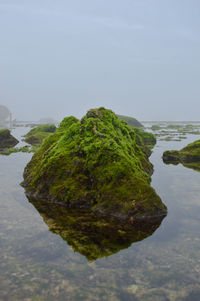 Close-up of rocks by lake against sky
