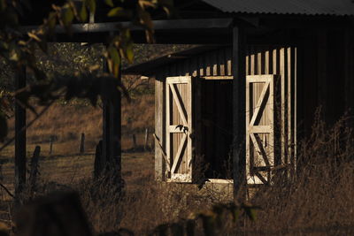 Close-up of barn