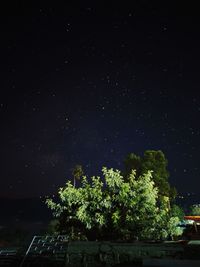 Low angle view of trees against sky at night