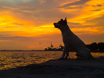 View of sea during sunset