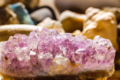 Close-up of ice cream on rock