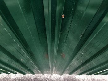 Full frame shot of leaf