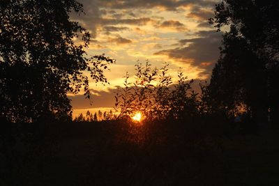 Silhouette trees on field against sky at sunset