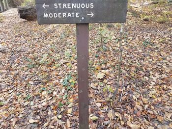 High angle view of text on autumn leaves