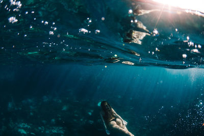 Woman swimming in sea