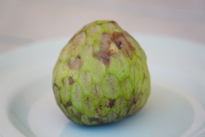 Close-up of fruit on plate