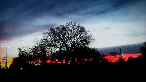 Low angle view of bare trees against sky