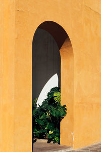 Arch window on wall of building