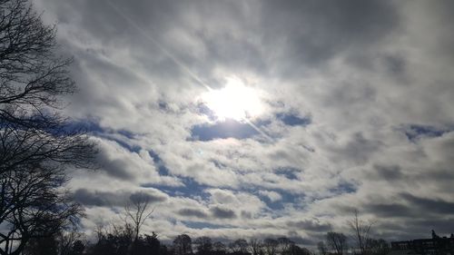 Low angle view of trees against sky