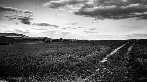 Scenic view of field against sky