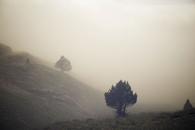 Mist in candanchu, pyrenees, canfranc valley in spain.