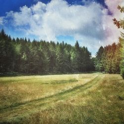 Scenic view of grassy field against cloudy sky