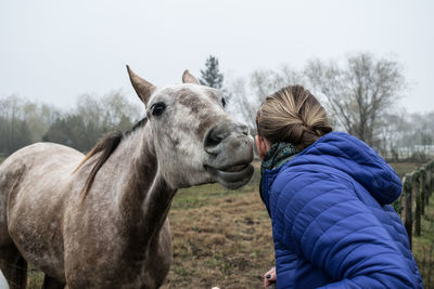 Horses on field against sky during winter