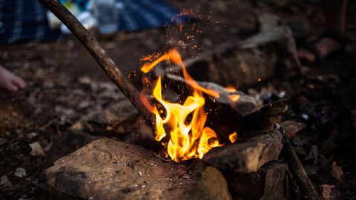 Bonfire on wooden log