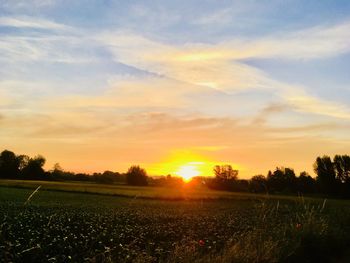 Scenic view of field against sky during sunset