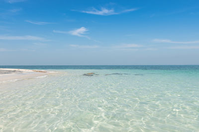 Scenic view of sea against blue sky