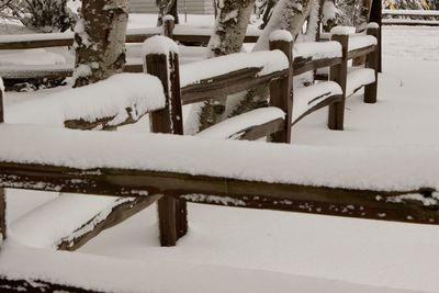 Close-up of frozen water